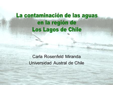 Carla Rosenfeld Miranda Universidad Austral de Chile
