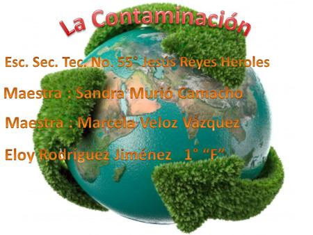 La Contaminación Maestra : Sandra Murió Camacho