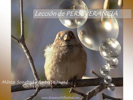 Lección de PERSEVERANCIA Música: Songbird – Barbra Streisand www.RenuevoDePlenitud.com.