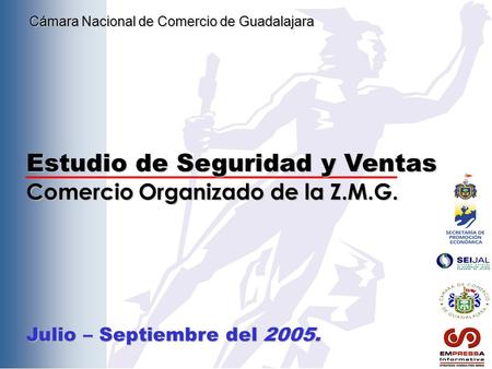 Estudio de Seguridad y Ventas Comercio Organizado de la Z.M.G. Julio – Septiembre del 2005. Cámara Nacional de Comercio de Guadalajara.