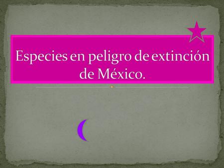 Especies en peligro de extinción de México.