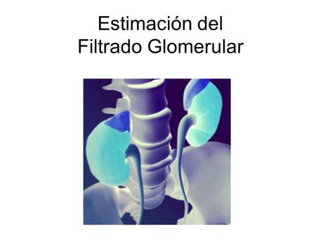 Estimación del Filtrado Glomerular.