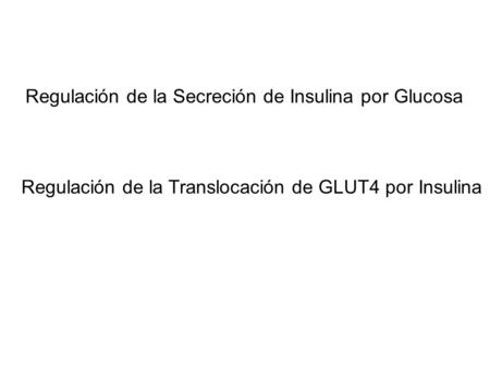 Regulación de la Secreción de Insulina por Glucosa
