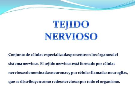 TEJIDO NERVIOSO Conjunto de células especializadas presente en los órganos del sistema nervioso. El tejido nervioso está formado por células nerviosas.