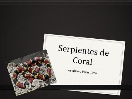 Serpientes de Coral Por Álvaro Vivas 10°A.