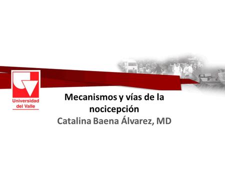 Mecanismos y vías de la nocicepción Catalina Baena Álvarez, MD