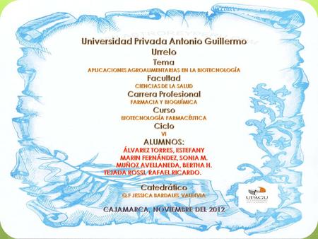 Universidad Privada Antonio Guillermo Urrelo