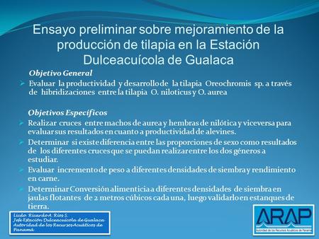 Ensayo preliminar sobre mejoramiento de la producción de tilapia en la Estación Dulceacuícola de Gualaca Objetivo General Evaluar la productividad.