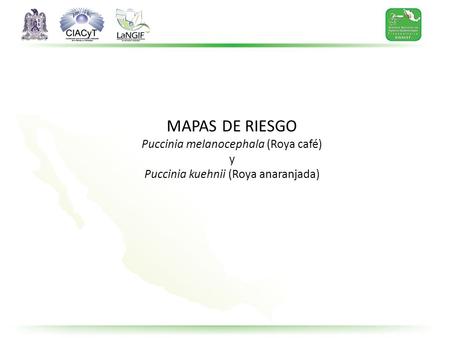 MAPAS DE RIESGO Puccinia melanocephala (Roya café) y