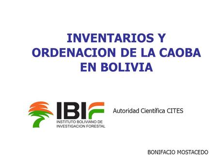 INVENTARIOS Y ORDENACION DE LA CAOBA EN BOLIVIA