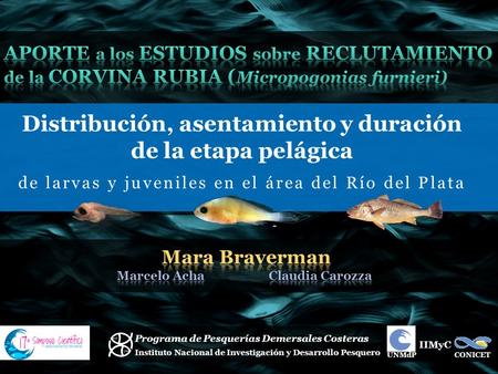 Distribución, asentamiento y duración Marcelo Acha Claudia Carozza