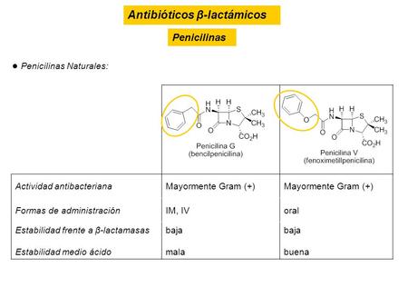 Antibióticos β-lactámicos
