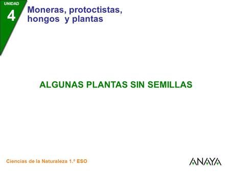 UNIDAD 4 Moneras, protoctistas, hongos y plantas Ciencias de la Naturaleza 1.º ESO ALGUNAS PLANTAS SIN SEMILLAS.