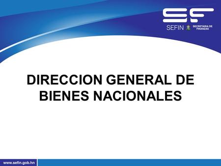DIRECCION GENERAL DE BIENES NACIONALES