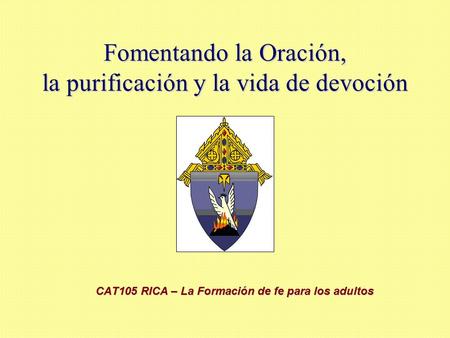 Fomentando la Oración, la purificación y la vida de devoción CAT105 RICA – La Formación de fe para los adultos.