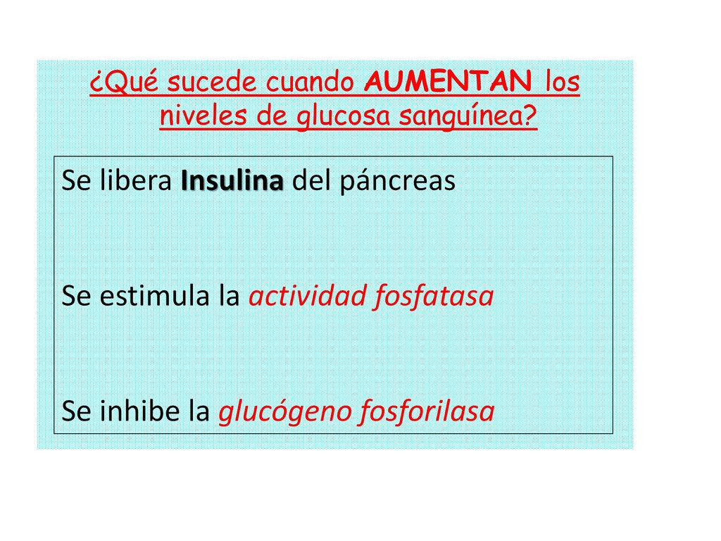 PROGRAMA ANALITICO Y/O DE EXAMEN - ppt descargar PROGRAMA ANALITICO Y/O DE EXAMEN - ppt descargar