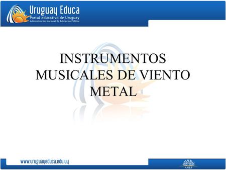 INSTRUMENTOS MUSICALES DE VIENTO METAL