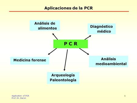 Application of PCR Prof. Dr. Baron 1 Aplicaciones de la PCR P C R Análisis de alimentos Diagnóstico médico Análisis medioambiental Medicina forense Arqueología.