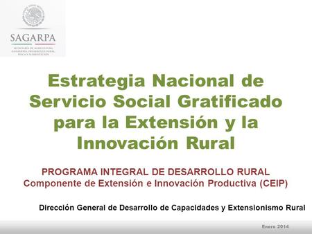 Estrategia Nacional de Servicio Social Gratificado para la Extensión y la Innovación Rural PROGRAMA INTEGRAL DE DESARROLLO RURAL Componente de Extensión.