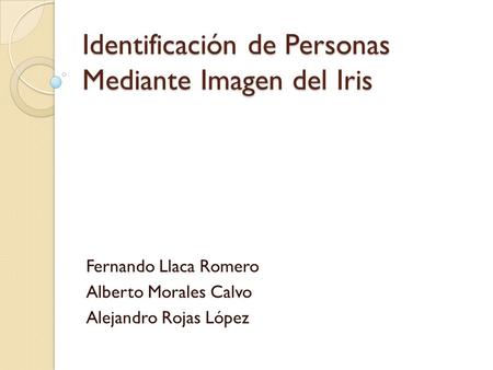 Identificación de Personas Mediante Imagen del Iris Fernando Llaca Romero Alberto Morales Calvo Alejandro Rojas López.