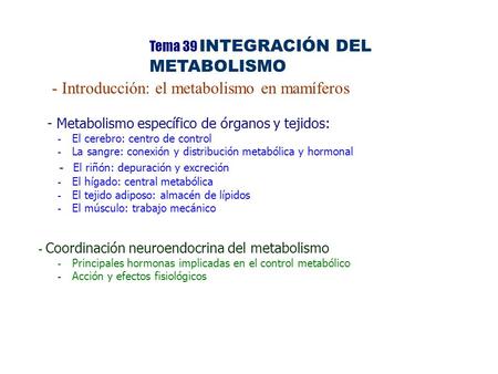 - Introducción: el metabolismo en mamíferos