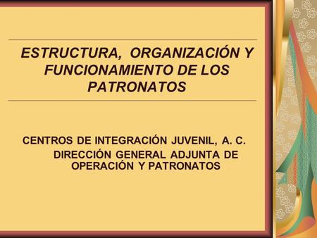 ESTRUCTURA, ORGANIZACIÓN Y FUNCIONAMIENTO DE LOS PATRONATOS