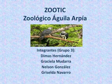 ZOOTIC Zoológico Águila Arpía Integrantes (Grupo 3): Dimas Hernández Graciela Mudarra Nelson González Griselda Navarro.