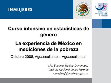 Ma. Eugenia Medina Domínguez Instituto Nacional de las Mujeres Curso intensivo en estadísticas de género La experiencia de México.