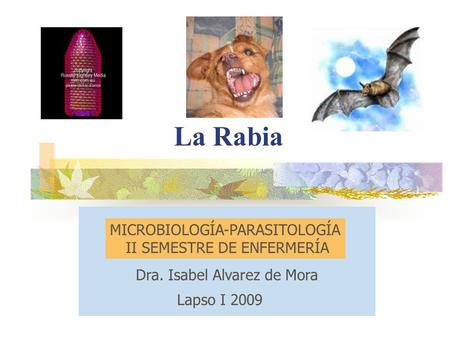 La Rabia MICROBIOLOGÍA-PARASITOLOGÍA II SEMESTRE DE ENFERMERÍA