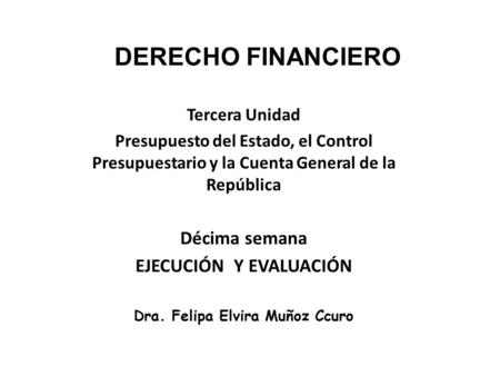 EJECUCIÓN Y EVALUACIÓN Dra. Felipa Elvira Muñoz Ccuro