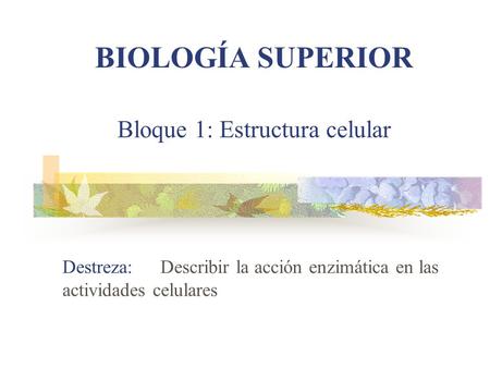 Bloque 1: Estructura celular