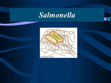Salmonella El género Salmonella está formado por dos grupos patógenos: las salmonelas tifoparatíficas causantes de infecciones sistémicas y las gastroenteríticas.