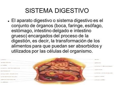 SISTEMA DIGESTIVO El aparato digestivo o sistema digestivo es el conjunto de órganos (boca, faringe, esófago, estómago, intestino delgado e intestino.
