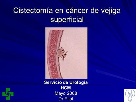 Cistectomía en cáncer de vejiga superficial Servicio de Urología HCM Mayo 2008 Dr Pilot.