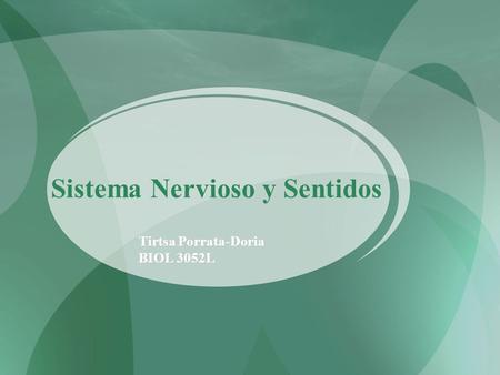 Sistema Nervioso y Sentidos Tirtsa Porrata-Doria BIOL 3052L.