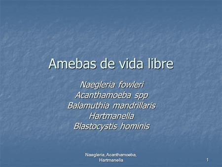 Amebas de vida libre Naegleria fowleri Acanthamoeba spp