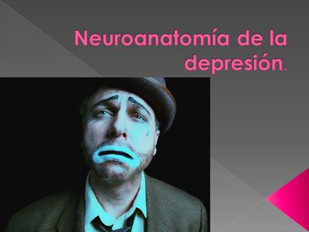 Neuroanatomía de la depresión.