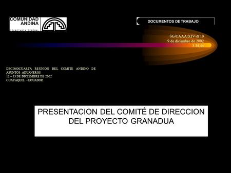 DECIMOCUARTA REUNION DEL COMITE ANDINO DE ASUNTOS ADUANEROS 12 – 13 DE DICIEMBRE DE 2002 GUAYAQUIL - ECUADOR PRESENTACION DEL COMITÉ DE DIRECCION DEL.