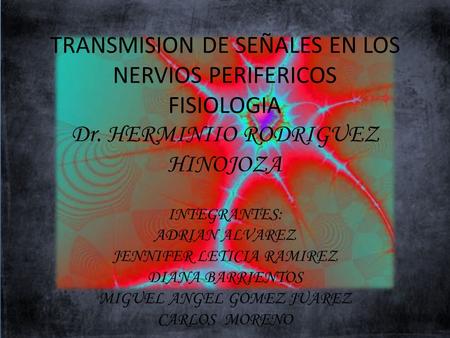 TRANSMISION DE SEÑALES EN LOS NERVIOS PERIFERICOS FISIOLOGIA Dr