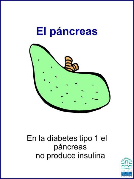 En la diabetes tipo 1 el páncreas no produce insulina