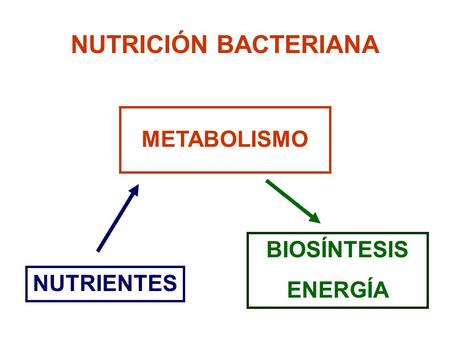 NUTRIENTES NUTRICIÓN BACTERIANA METABOLISMO BIOSÍNTESIS ENERGÍA.
