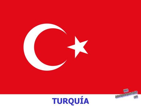 TURQUÍA La República de Turquía, o simplemente Turquía (Türkiye) en idioma turco, está situada entre Asia (97% de su territorio) y Europa (3% de su territorio).