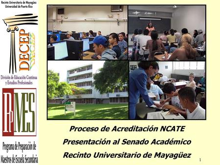 1 Proceso de Acreditación NCATE Presentación al Senado Académico Recinto Universitario de Mayagüez.