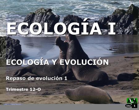 Vite 1 ECOLOGÍA I ECOLOGÍA Y EVOLUCIÓN Repaso de evolución 1 Trimestre 12-O.
