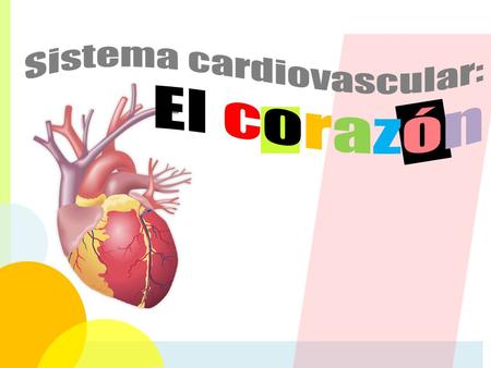 Sistema cardiovascular: El corazón