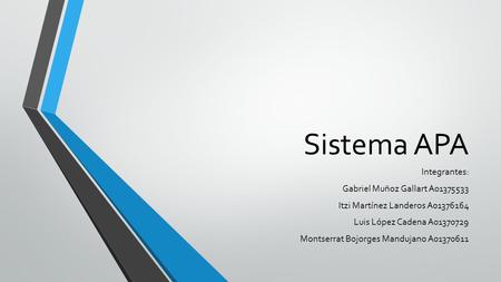 Sistema APA Integrantes: Gabriel Muñoz Gallart A