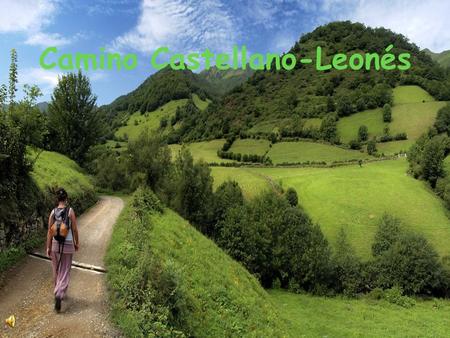 Camino Castellano-Leonés