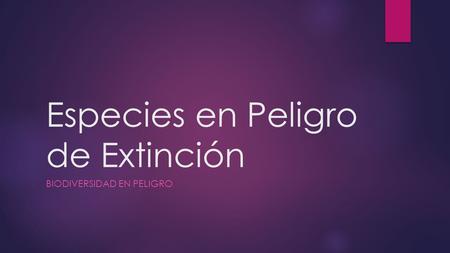 Especies en Peligro de Extinción BIODIVERSIDAD EN PELIGRO.