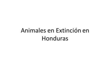 Animales en Extinción en Honduras