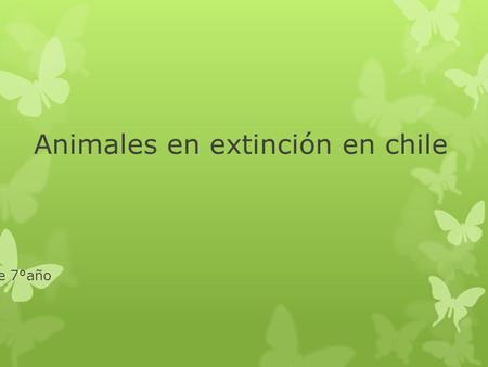 Animales en extinción en chile